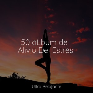 50 Melodías Calmantes Para Dormir Y Relajarse