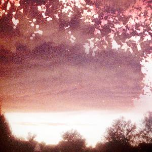 Blood Red (feat. Jellyfish! & Mynameiszack)