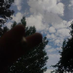 Equilibrio constante