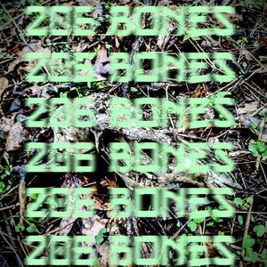 206 Bones (Explicit)