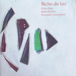 Bicho de Luz