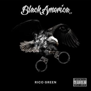 Black America (Explicit)