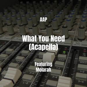 What You Need (Acapella) [Explicit]