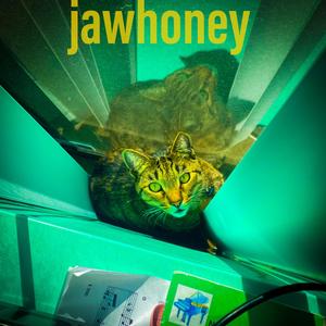 jaw honey ai (Explicit)