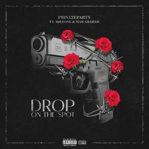 Drop On The Spot (feat. Siah Graham & Private Party) [Explicit]