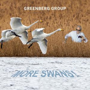 Are You Going with Me? (feat. Todd Greenberg, Andrew Fazackerley, Moffet Morris & Emrah Kotan)