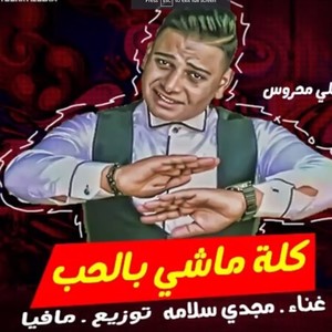 مهرجان كله ماشى بالحب