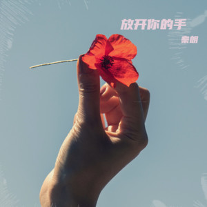 放开你的手 (伴奏)
