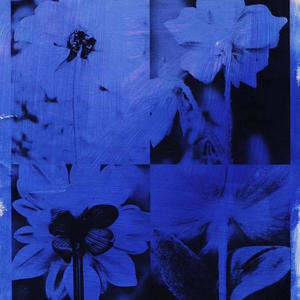 The Sky Bleeds Blue Ash (feat. JICY)