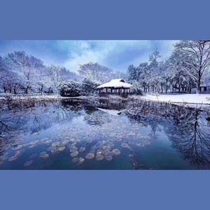 雪落下的声音国乐版