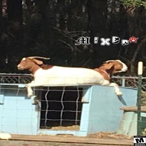 Goat NOT a Ram (feat. NitroBillygoat) [Explicit]