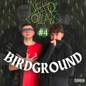 Birdground: Nexot Collabs #4 (Explicit)