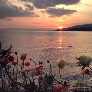 刻在我心底的名字