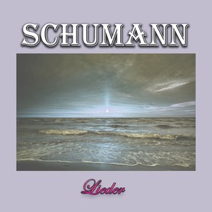 Clarinet Concerto in A Major, K. 622 - II. Adagio