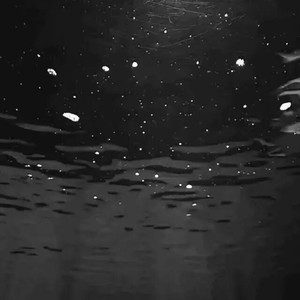 原乡口水Mash-up研究所