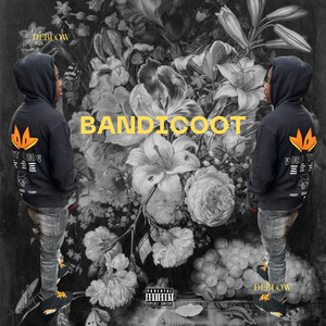 Bandicoot (Explicit)