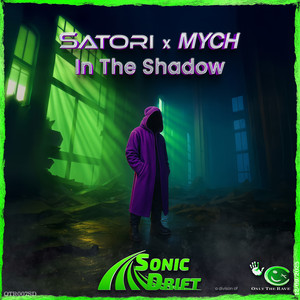 In The Shadow (DJ Version)