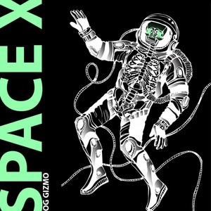 Space X