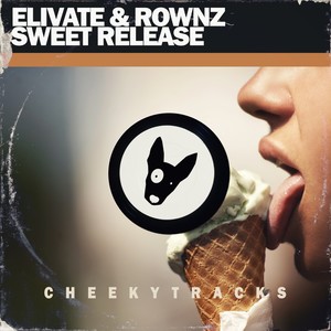 Sweet Release (Radio Edit)