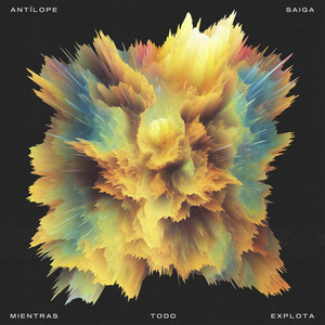 Antílope Saiga - Si ellos pueden