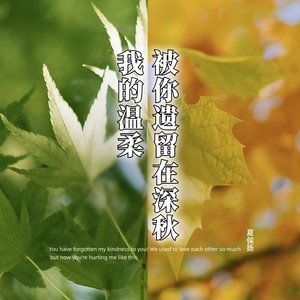 我的温柔被你遗留在深秋
