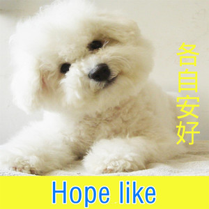 琵琶行-齐羽&官云康