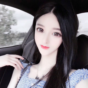 影子说