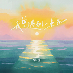 我曾遇到一束光