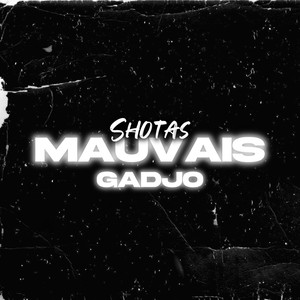 Mauvais gadjo (Explicit)