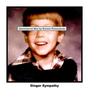 Ginger Sympathy (DiscoCarrot Mix)