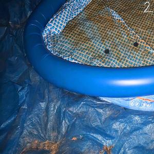 Static Electricity & Balloons