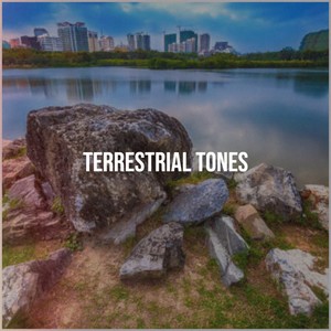 Afternoon in the Herb Garden