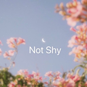 梁子静 - Not Shy