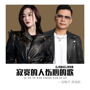寂寞的人伤心的歌 (DJ初心&DJ何友版) - 龙梅子、杨海彪封面