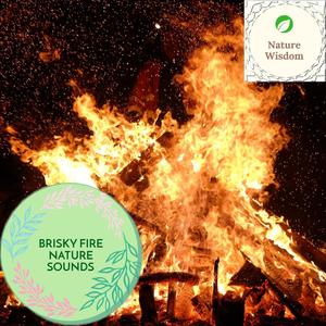 Brisky Fire Nature Sounds