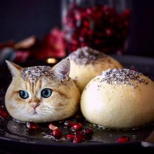 dough (og speed) (Explicit)