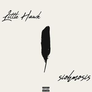 Little Hawk (Explicit)