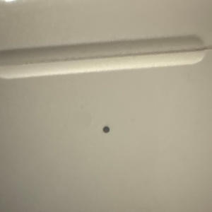 It echoed through the walls