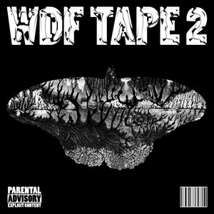 WDF Tape 2 (Explicit)