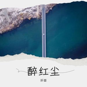 红尘一醉封面