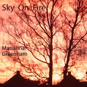 Sky On Fire(feat. Will Upson)