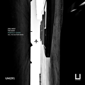 Perfect Dark (The Southern's Groove Mix)