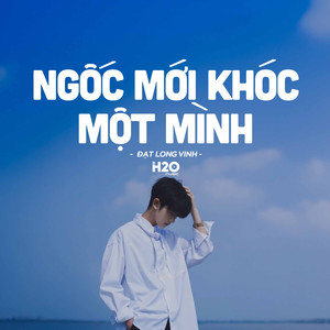 Ngốc Mới Khóc Một Mình (Lofi Version)