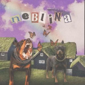 Neblina(feat. Jxnas & Takein) (Explicit)