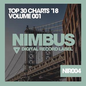 Top 30 Charts 18 (Volume 001)