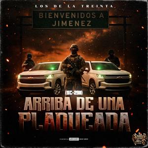 Arriba de una plaqueada (sc-298)