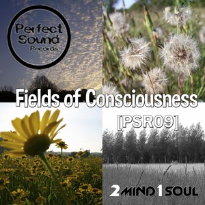 Fields of Consciousness