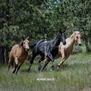 HORSERACE (feat. Sekawnee & Elitheintellect) [Explicit]