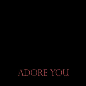 Adore You