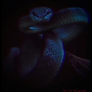 Snåke (Remember Me Freestyle) (Explicit)